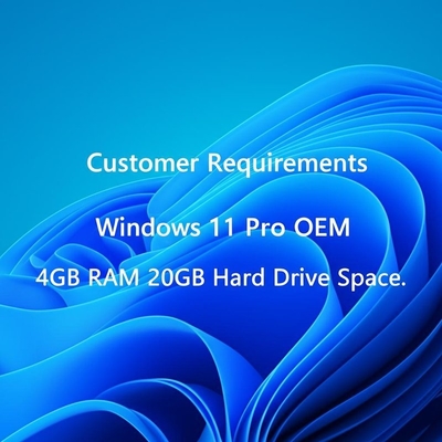 متطلبات العميل ويندوز 11 برو OEM، ذاكرة وصول عشوائي (RAM) سعة 4 جيجابايت، مساحة تخزين على القرص الصلب 20 جيجابايت